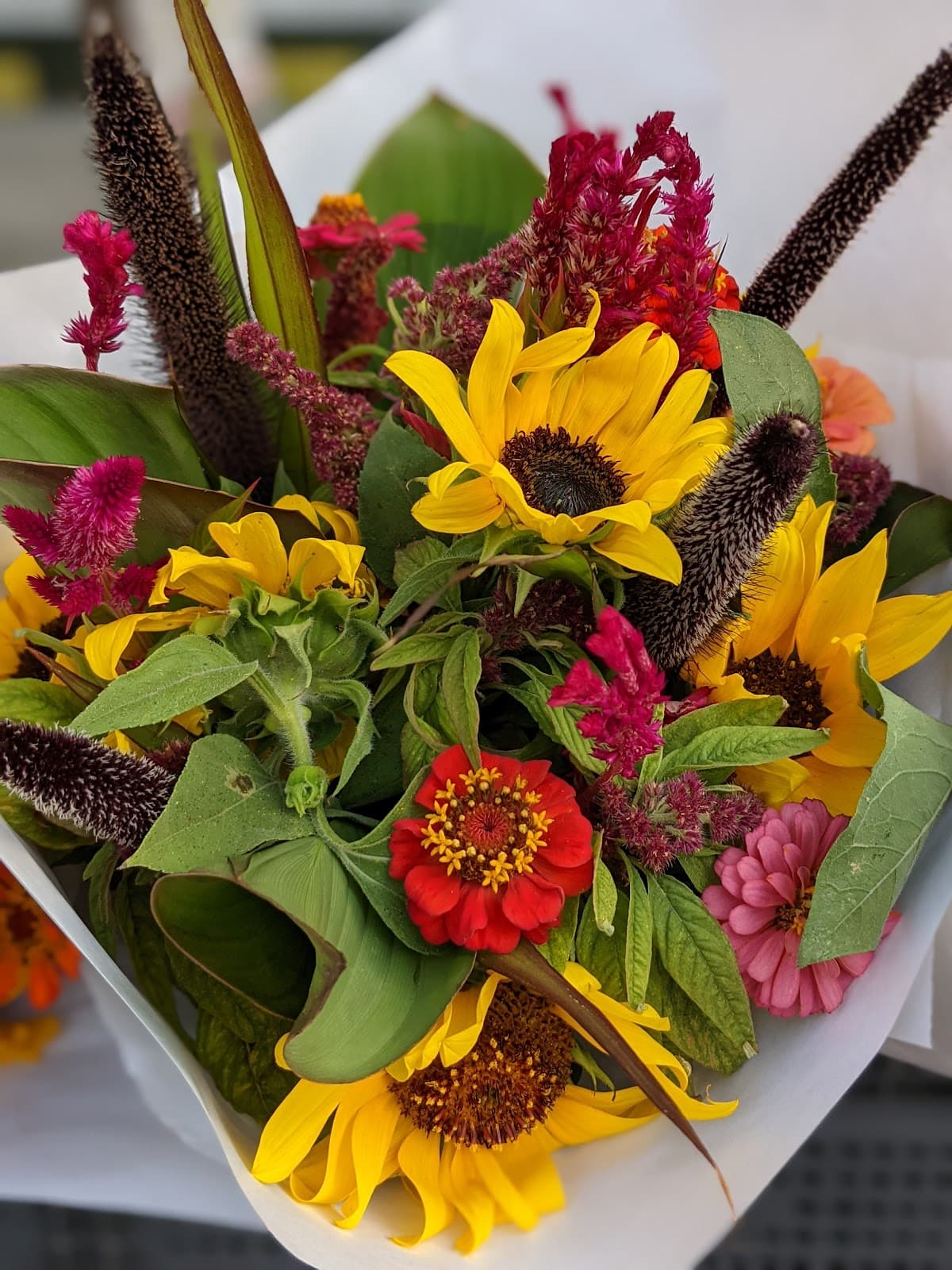 North Beach Farmers Market 4