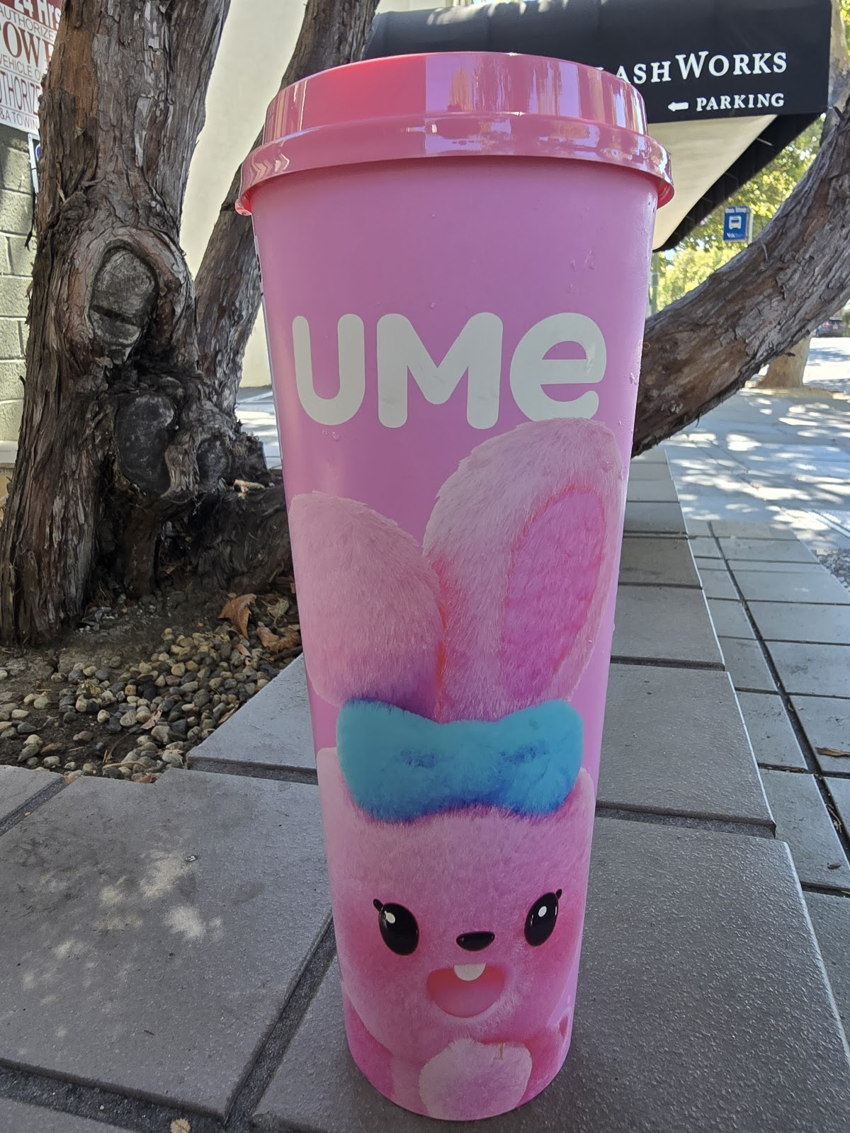 UMe Tea 5
