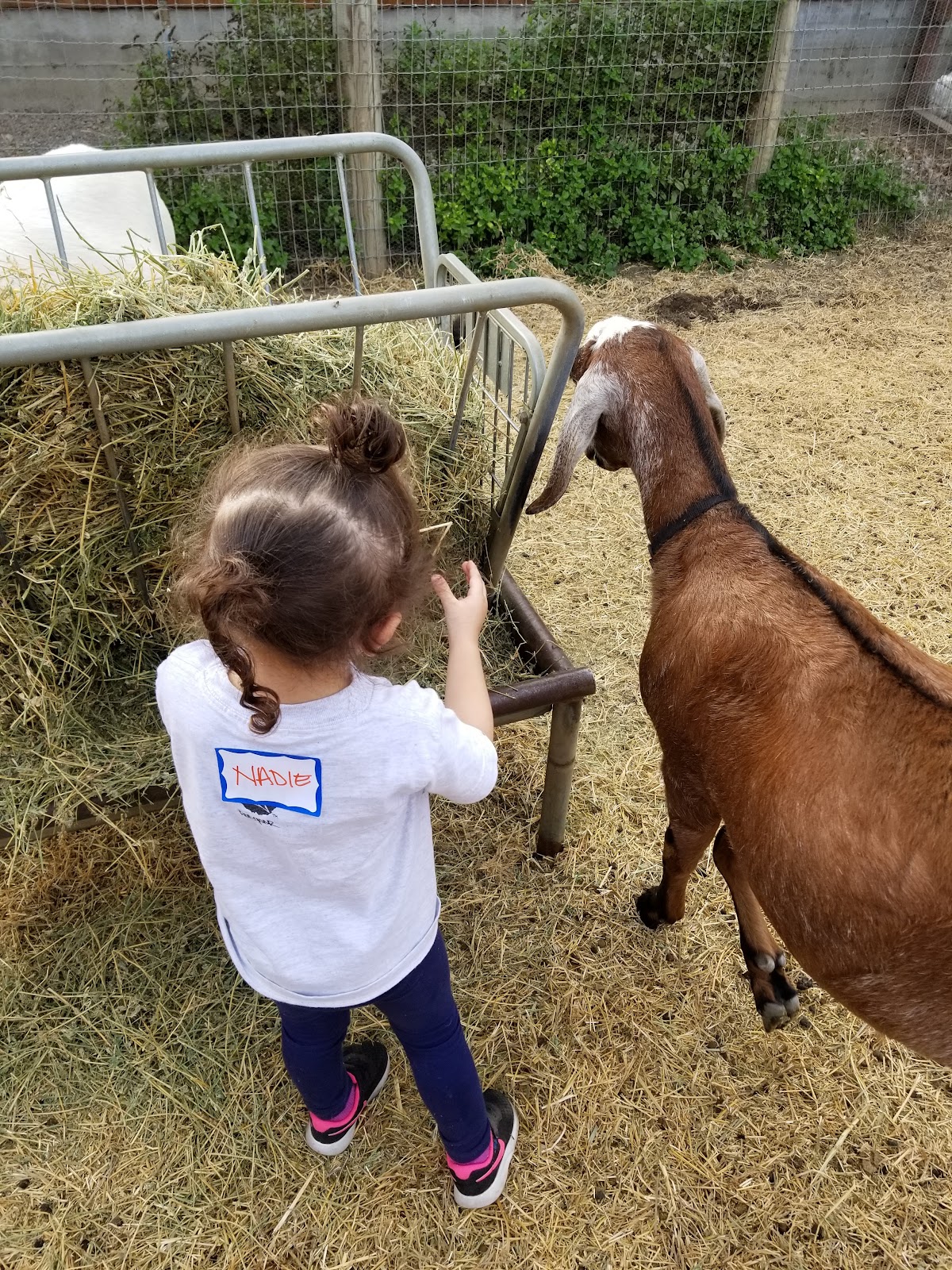 Connolly Ranch Education Center 5