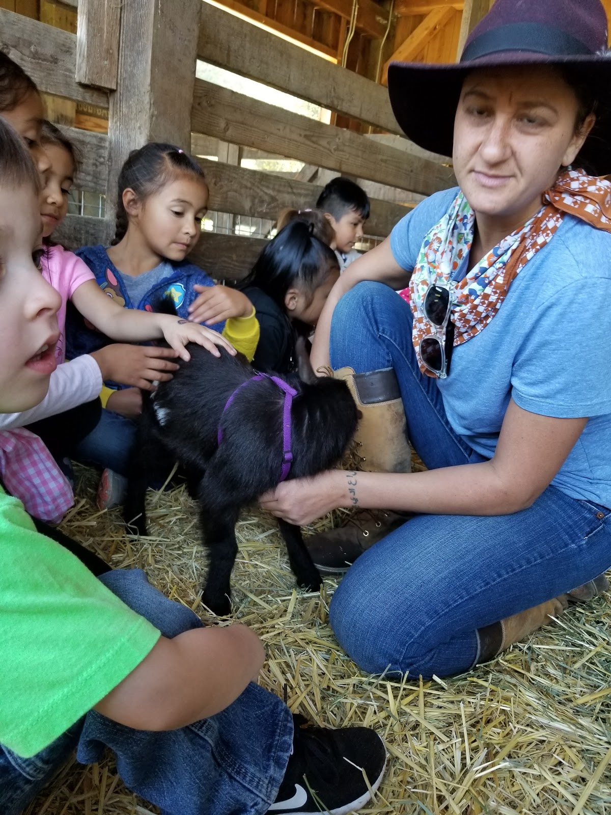 Sunday Farm Open House 5