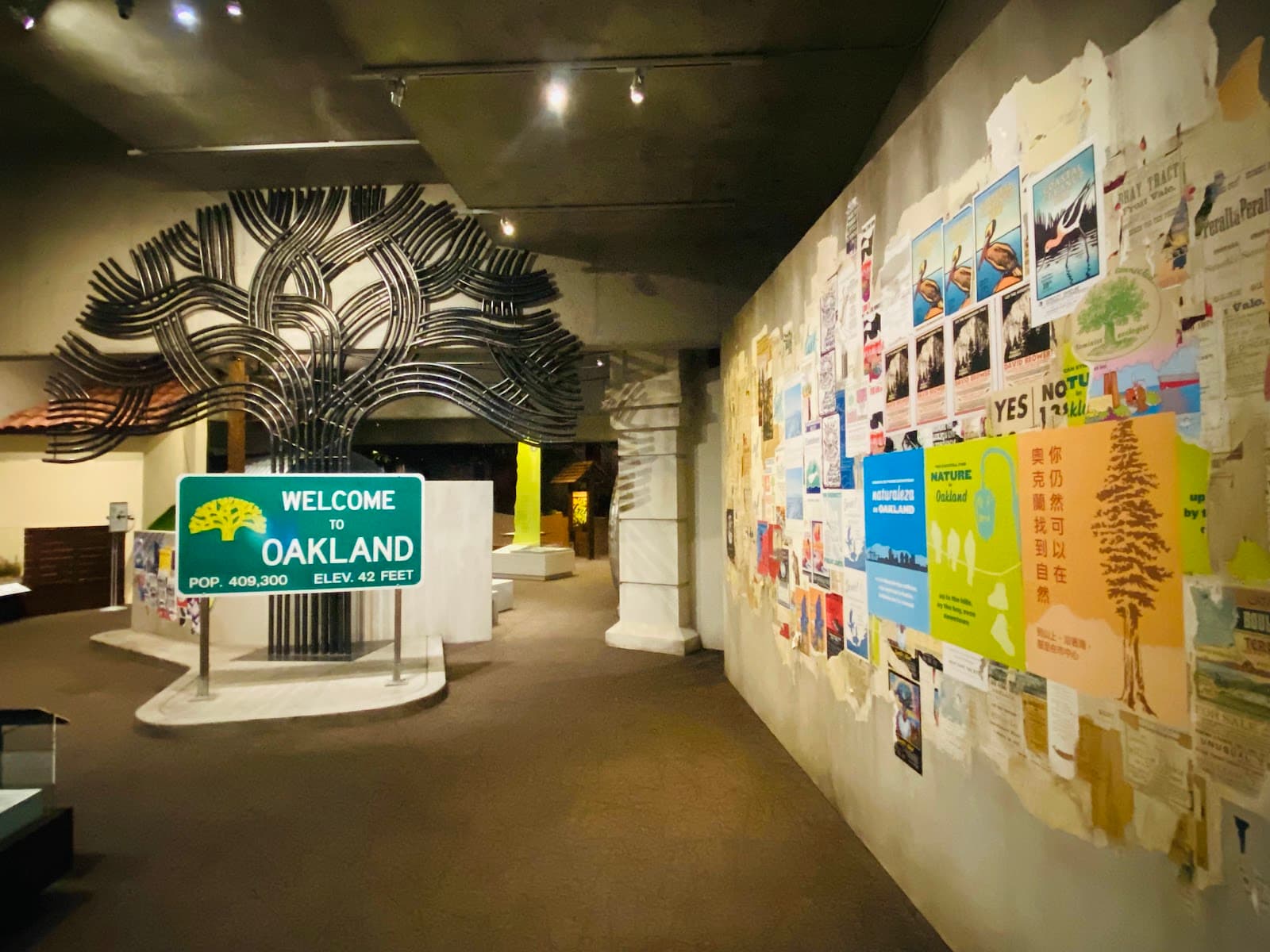 Friday Nights at OMCA 4