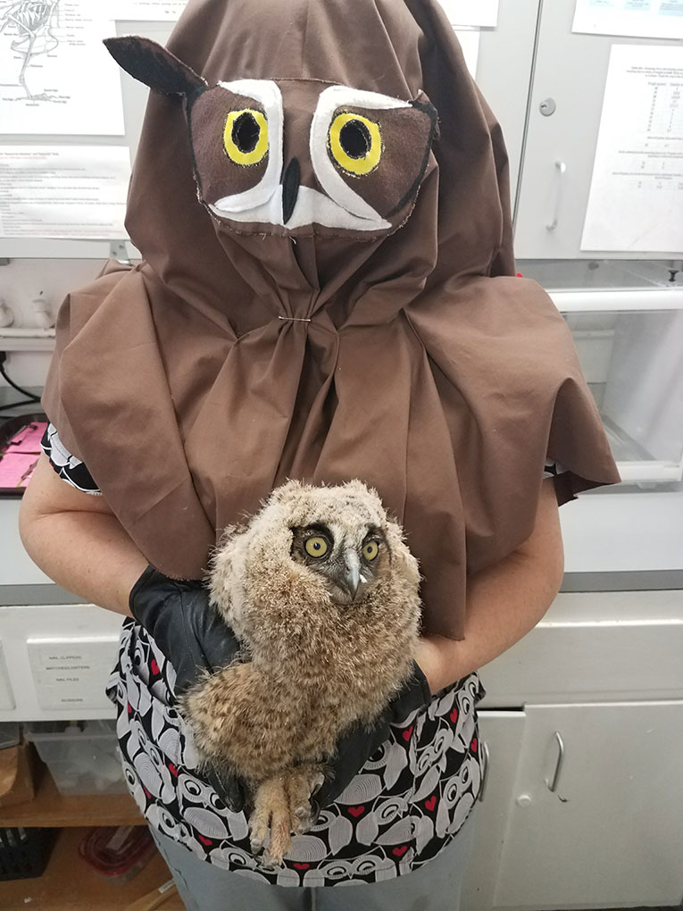 Bird Rescue Center of Sonoma County 5