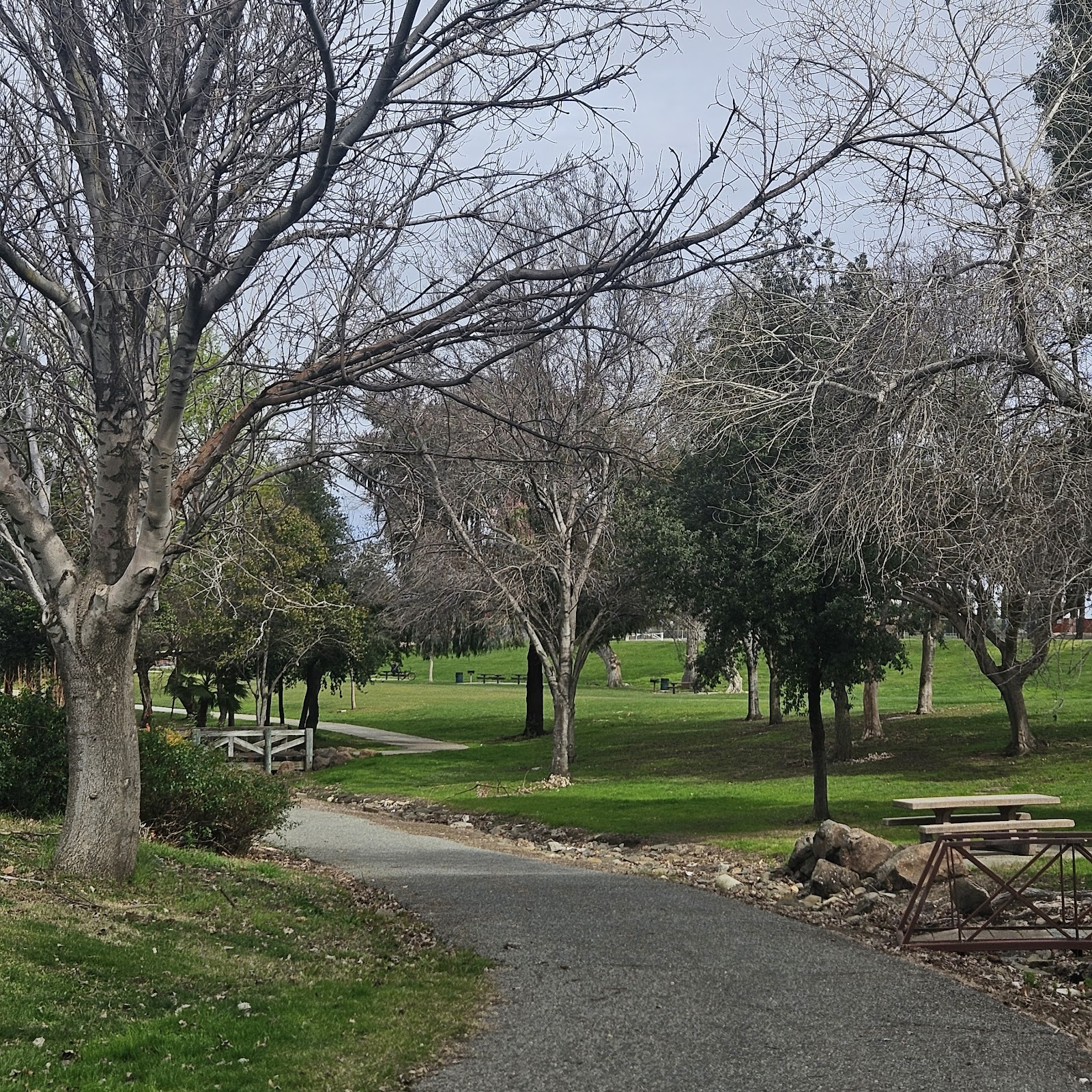 Buchanan Park 5