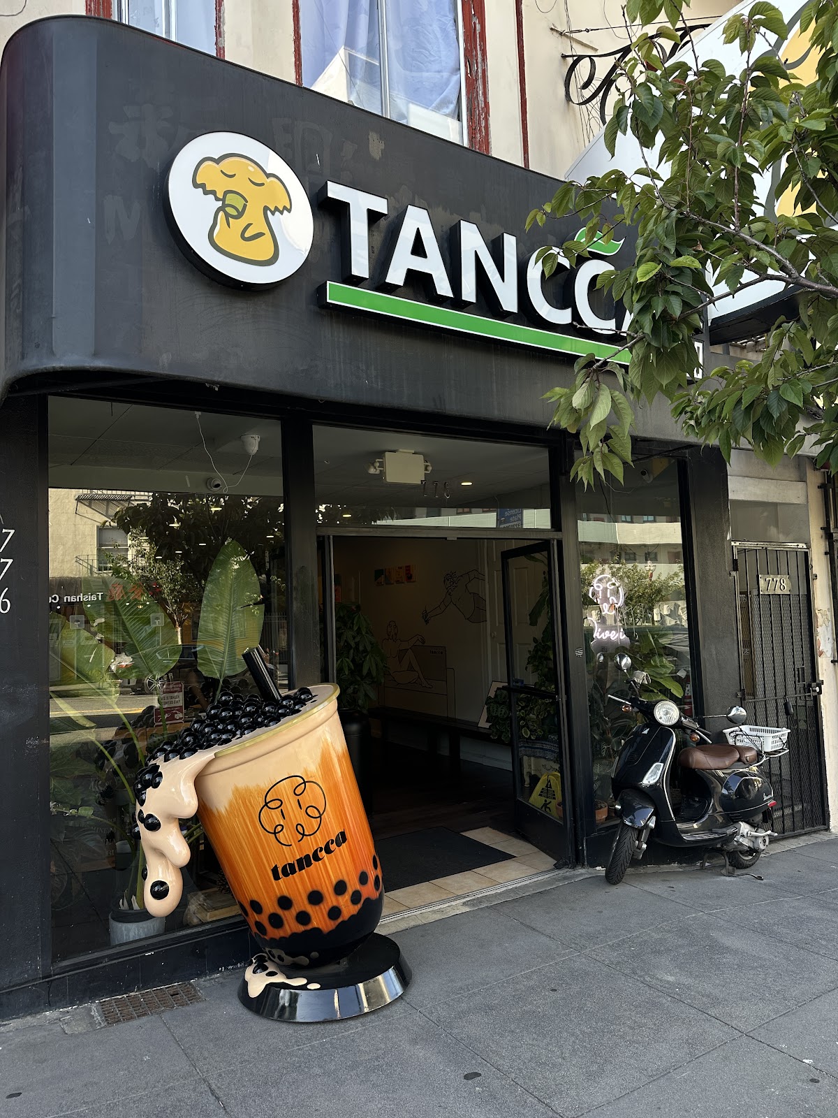 Tancca 5
