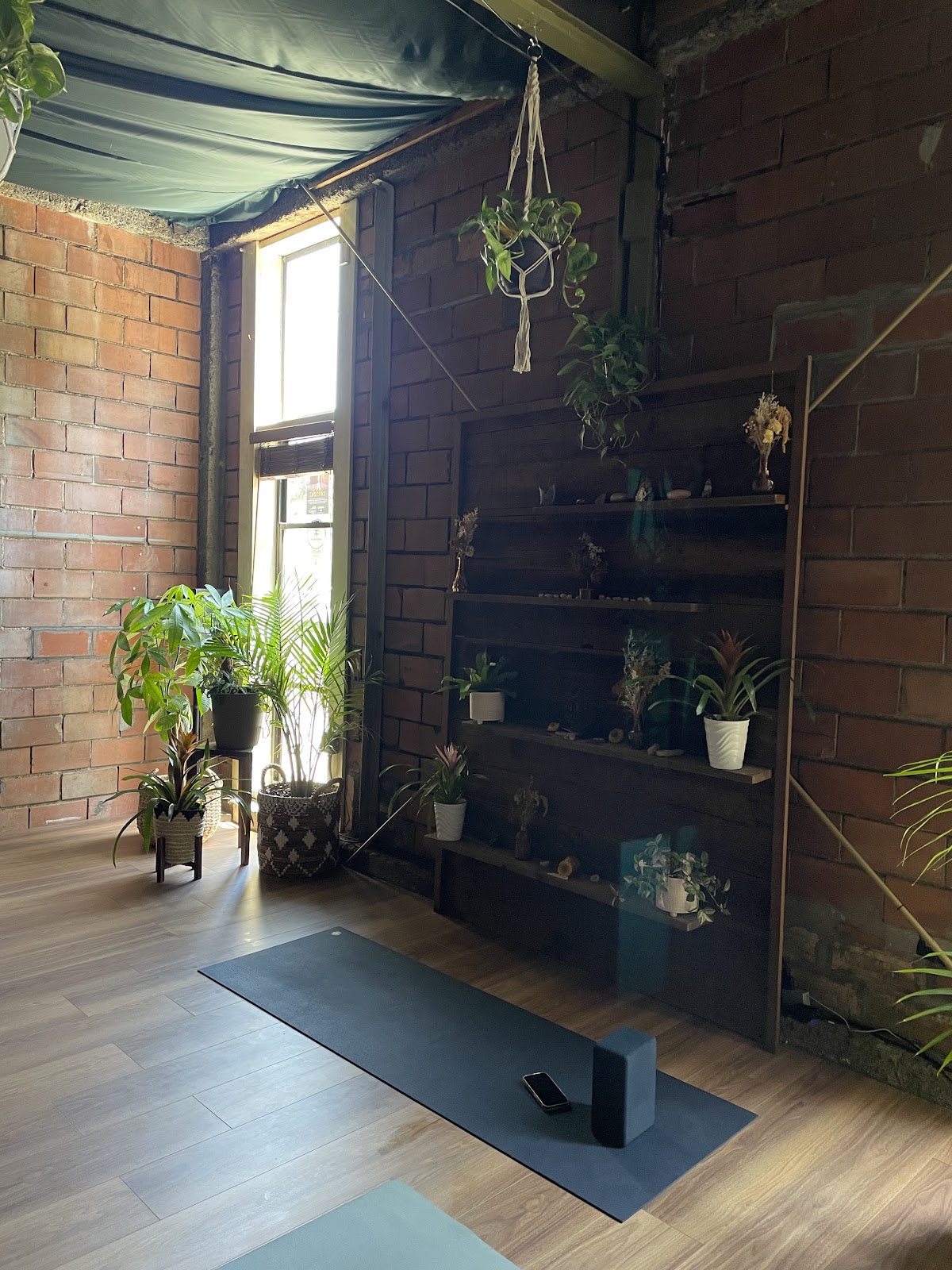 Deep Roots Yoga and Wellness 3