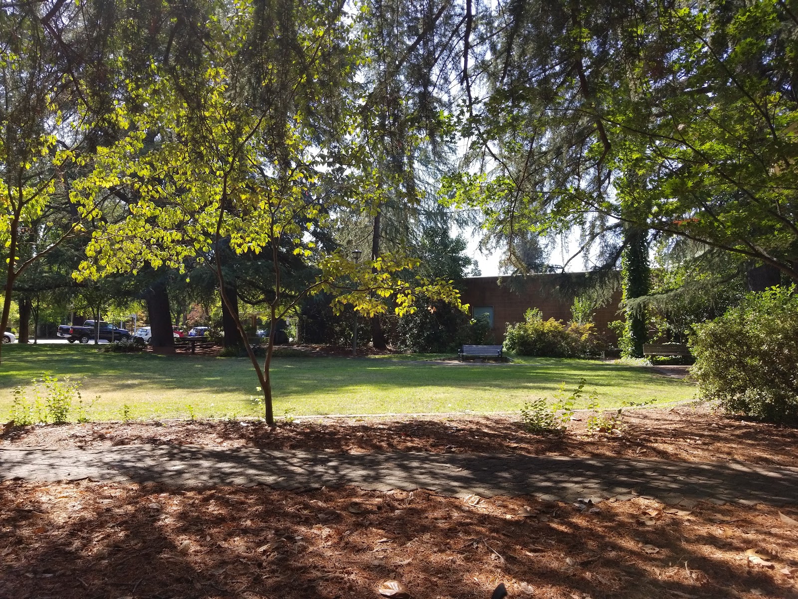 St. Helena Concert Series 4