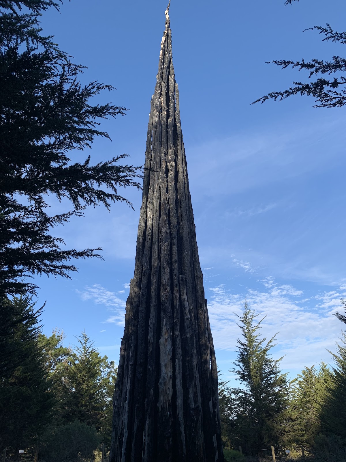 Spire by Andy Goldsworthy 4