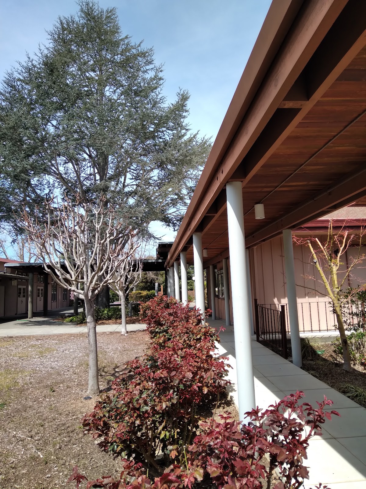 The Community Church of Sebastopol 5