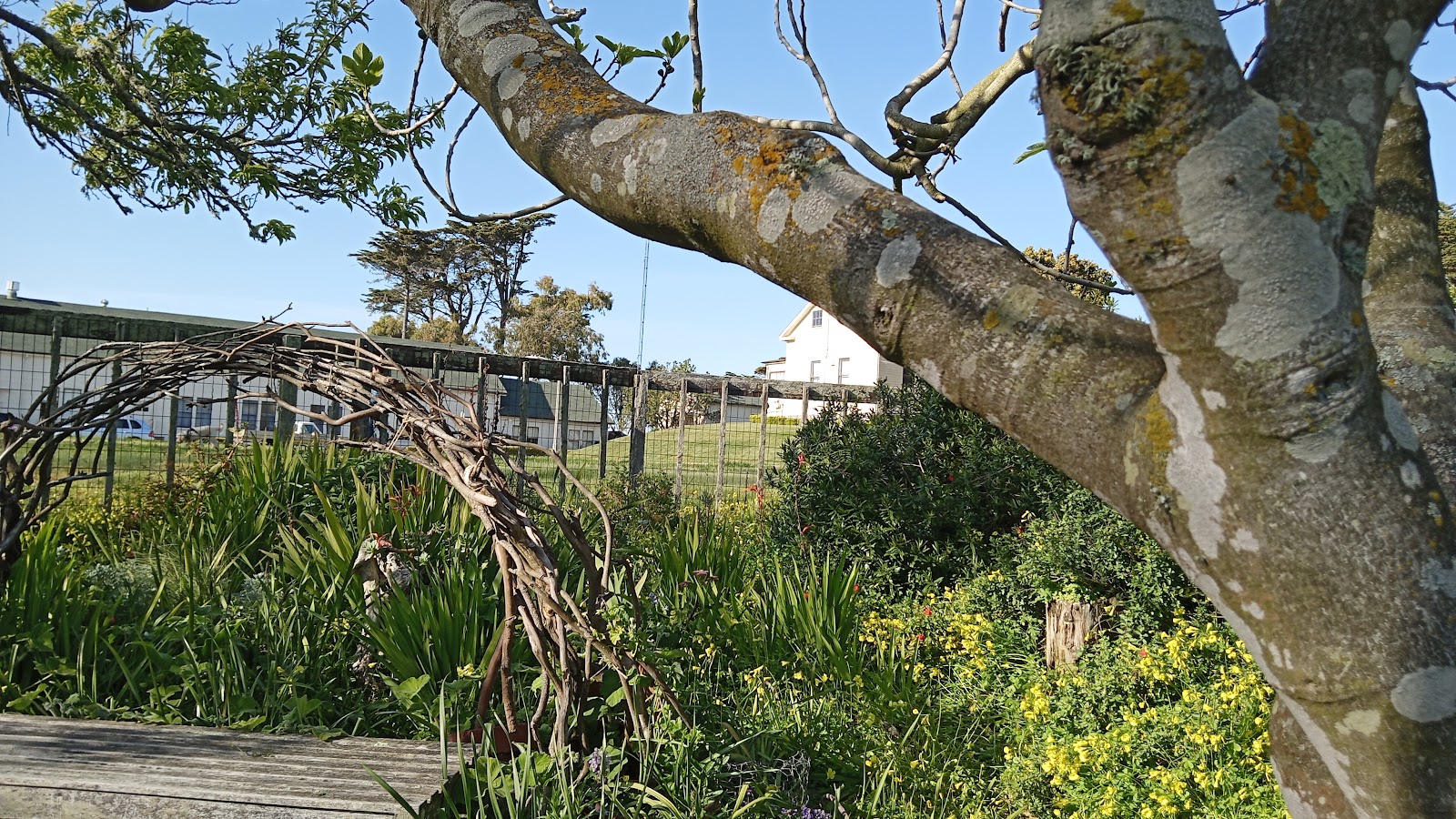 Fort Mason Community Garden 5