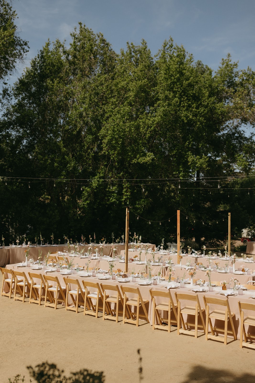 Pacheco Ranch Winery 4
