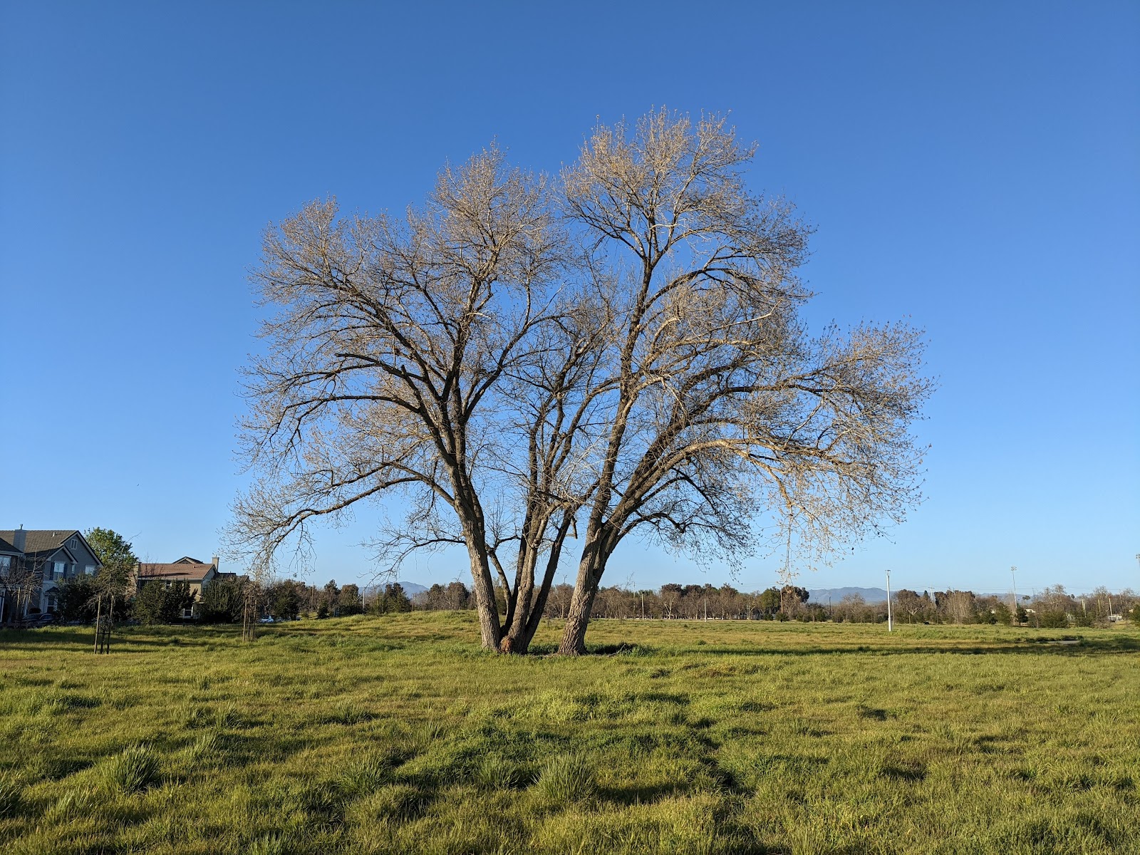 Bernal Community Park 4