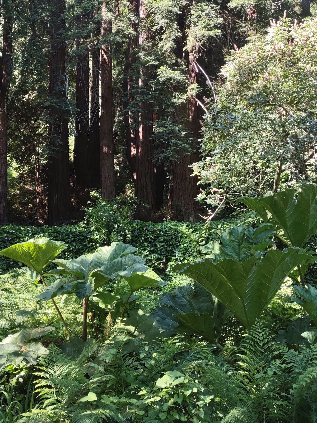 Stolte Grove 5