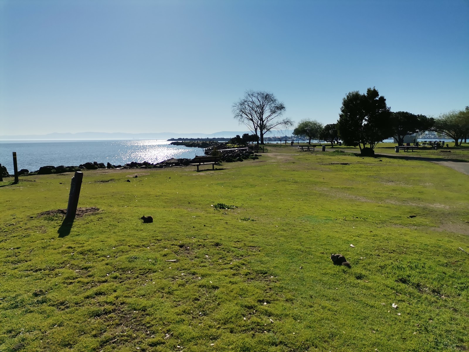 Doug Siden Visitor Center at Crab Cove 4
