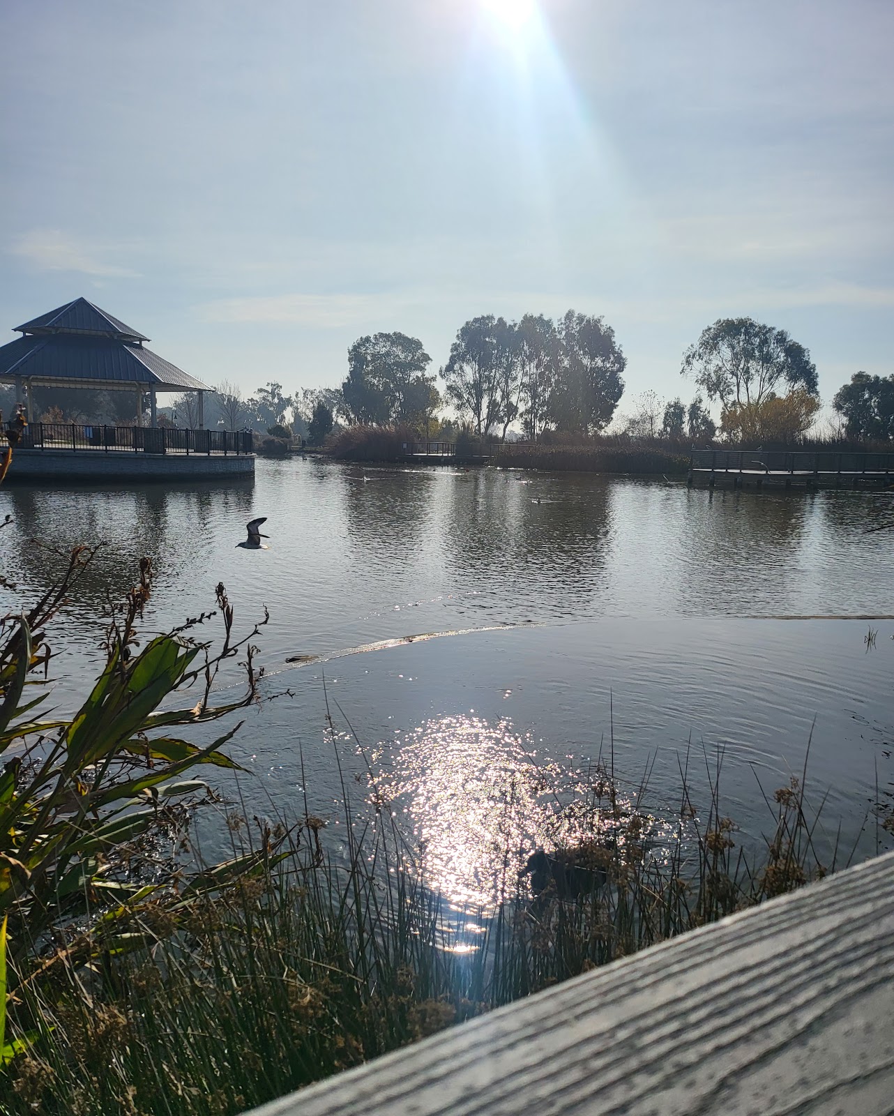 Via Toledo Park 5