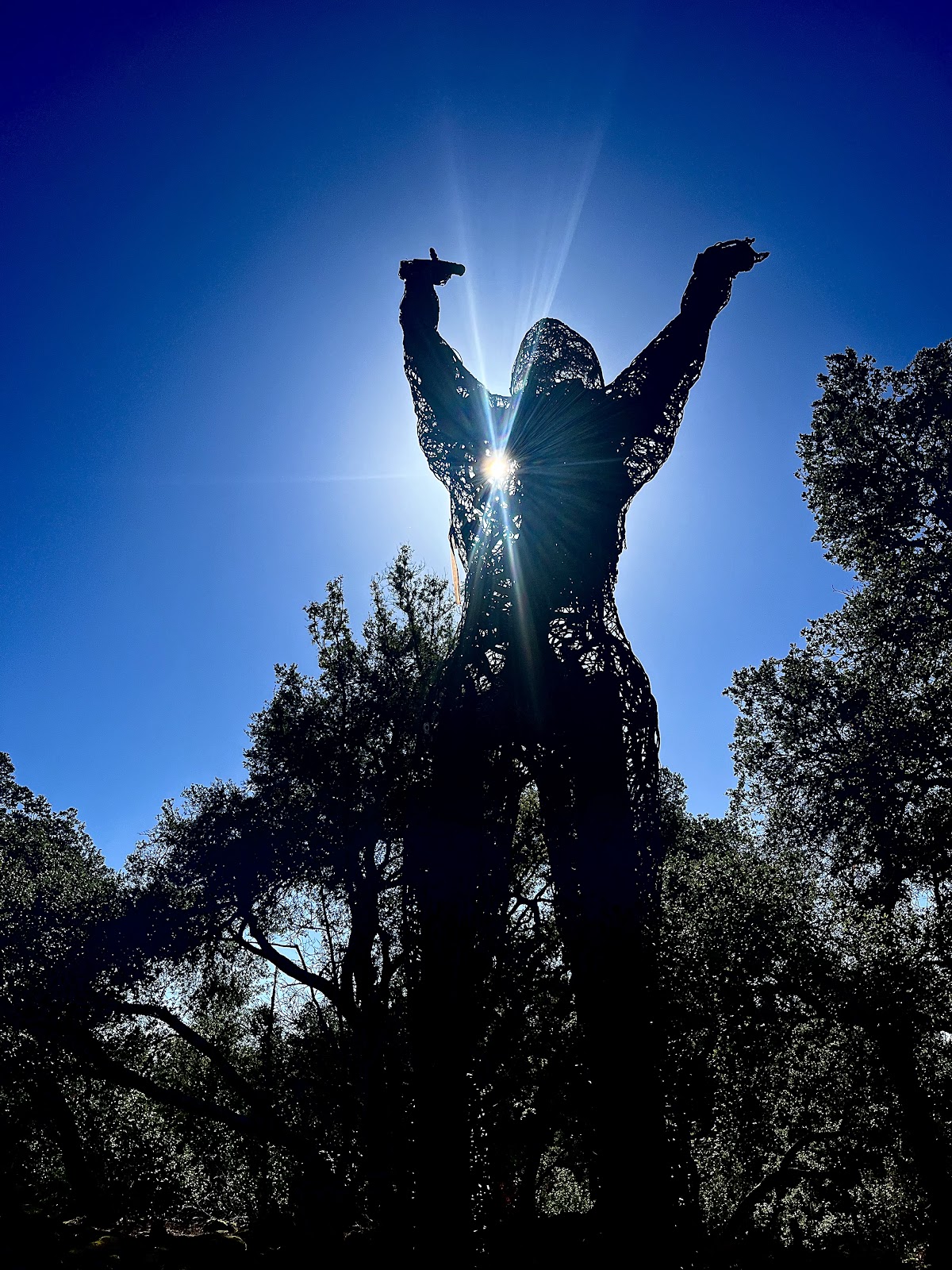 Marijke’s Grove | Paradise Ridge Winery 4