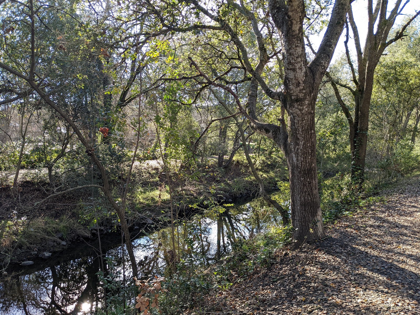 Piner Creek Trailhead 4