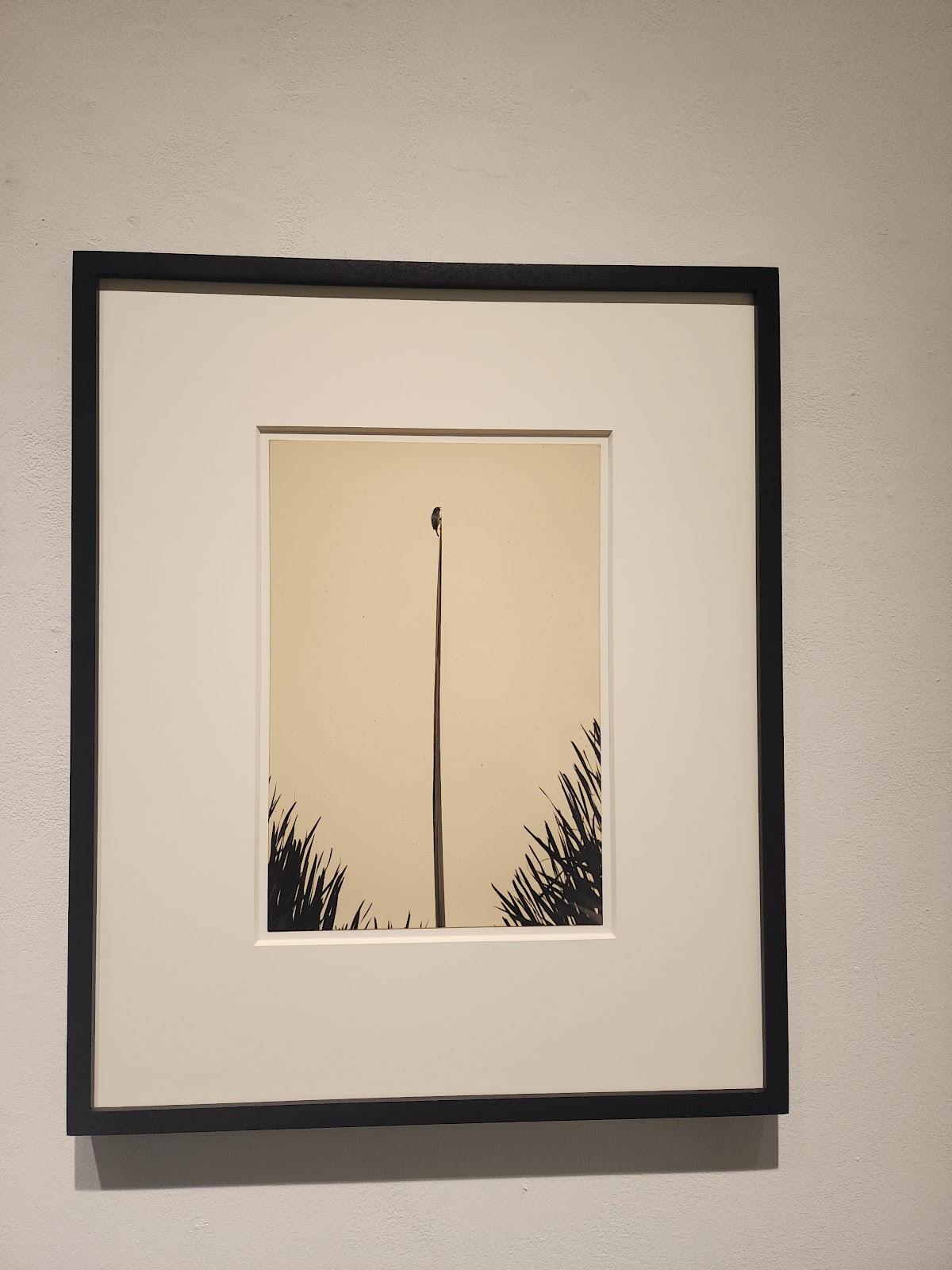 Fraenkel Gallery 4