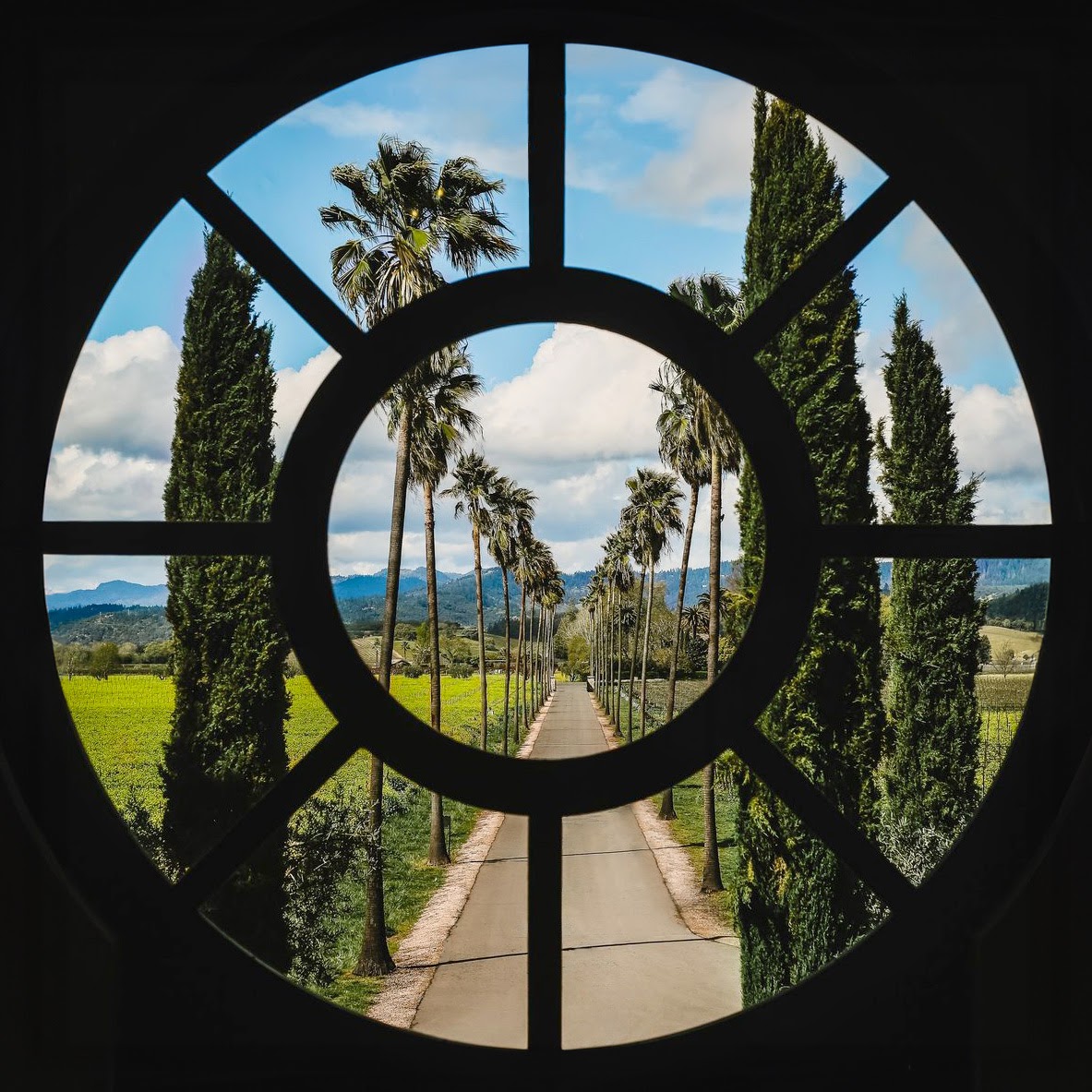 Round Pond Estate Winery 4