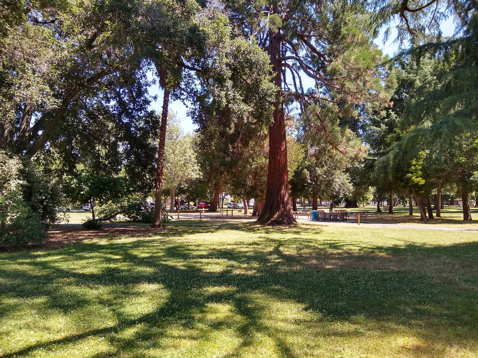 Fuller Park 5