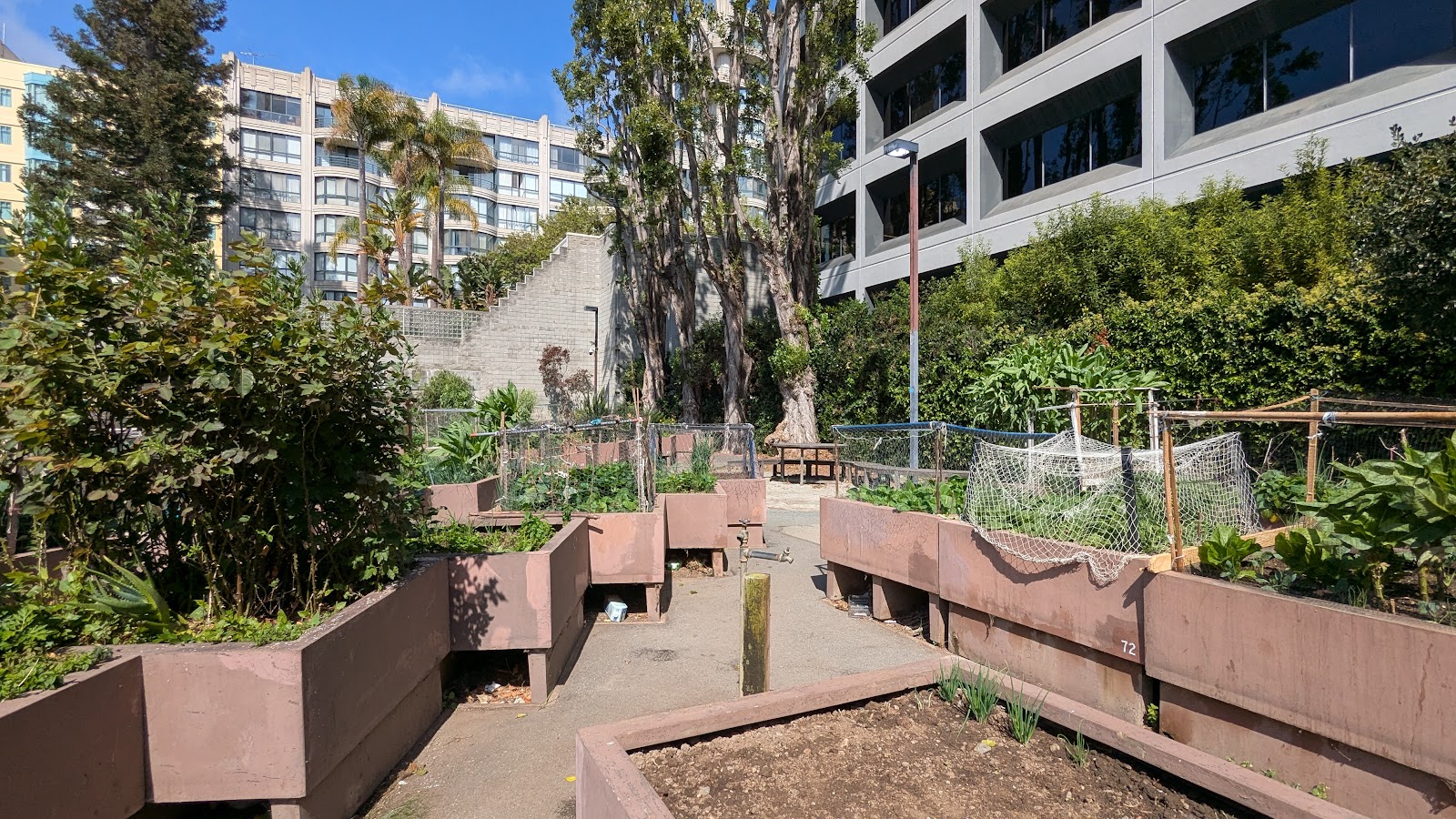 Alice Street Community Gardens 4
