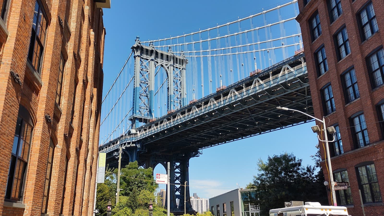 Brooklyn Bridge Park's annual Harvest Festival 5
