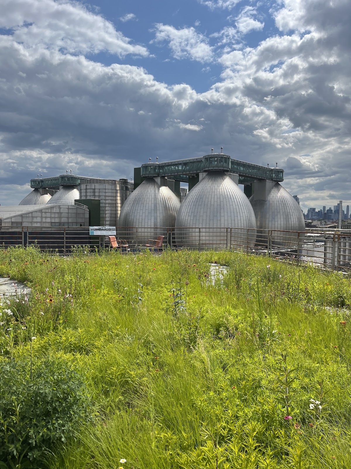 Kingsland Wildflowers Green Roof & Community Engagement Center 5