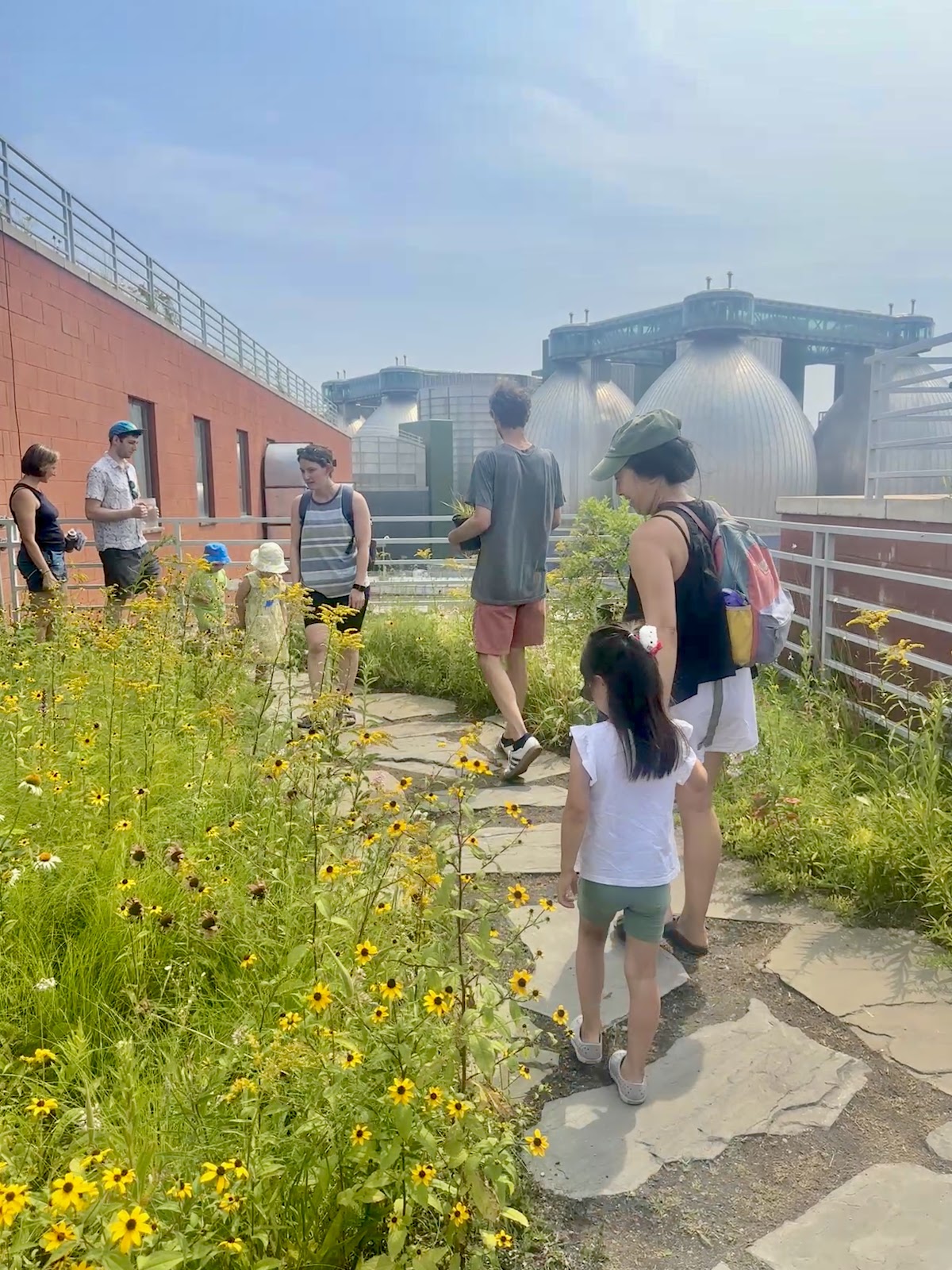 Kingsland Wildflowers Open Hours 5