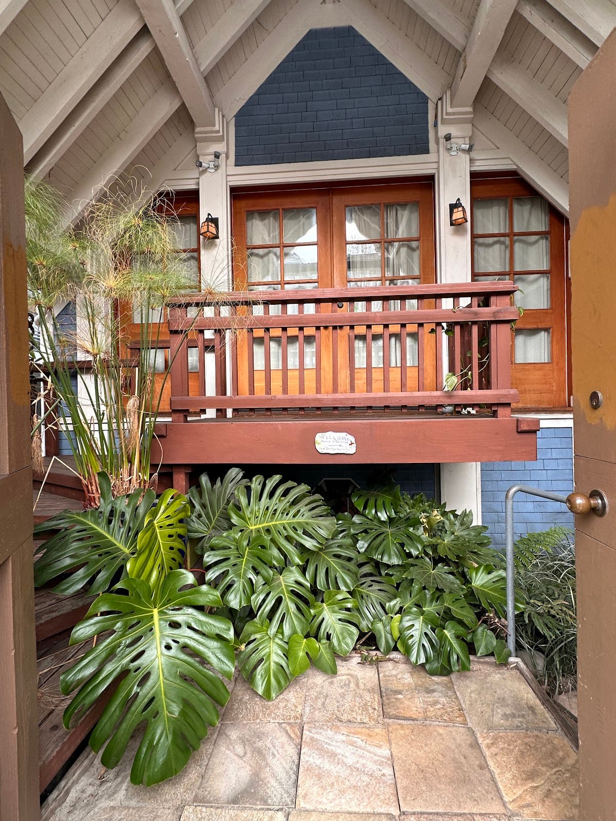 Free Monthly Yoga Class for Beginners 4