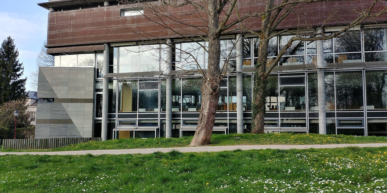 Fête du printemps – Bibliothèque 5