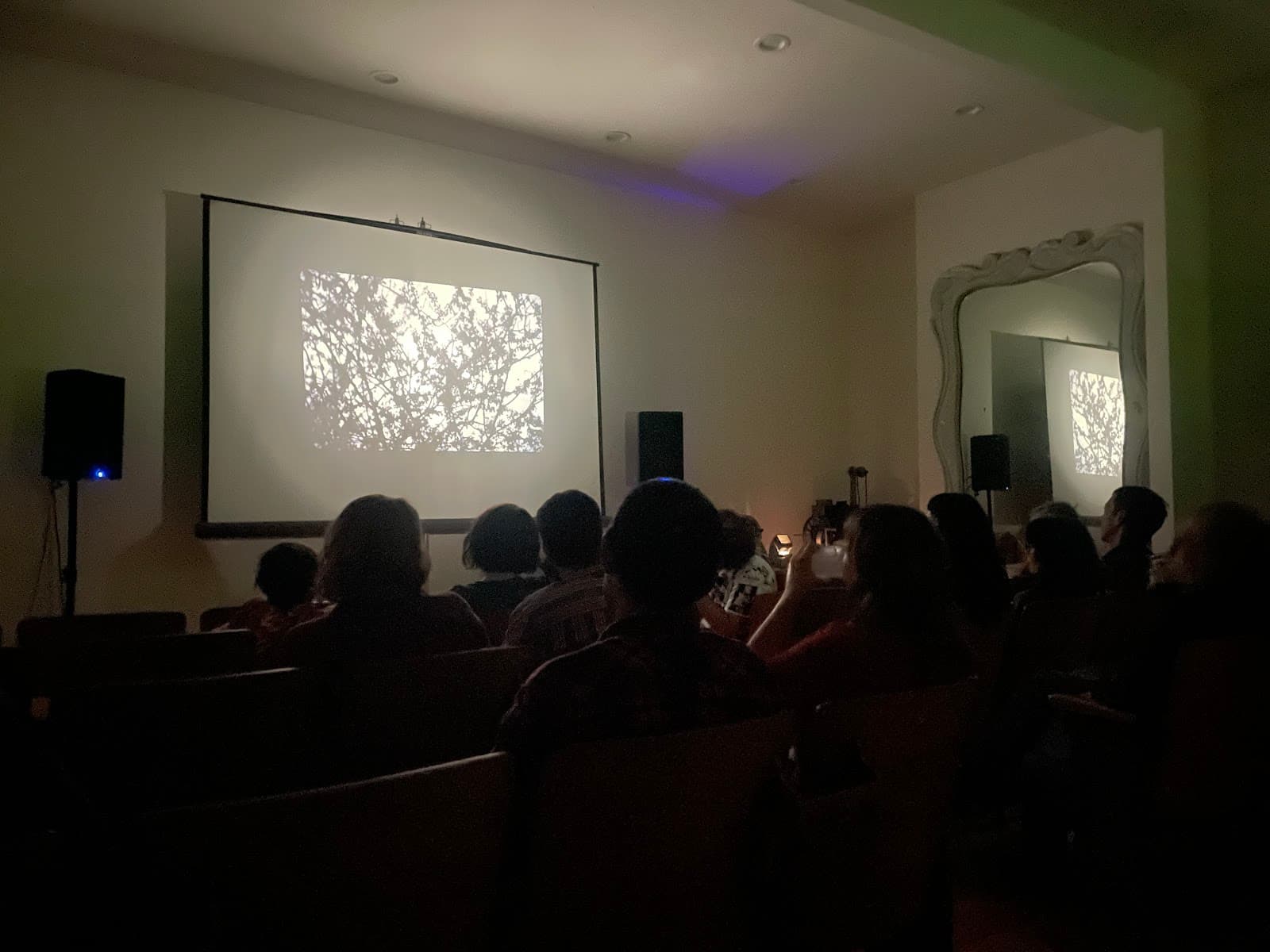 Kingdom of Not, Plonsey Scheme & Victoria and the Vaudevillains 4