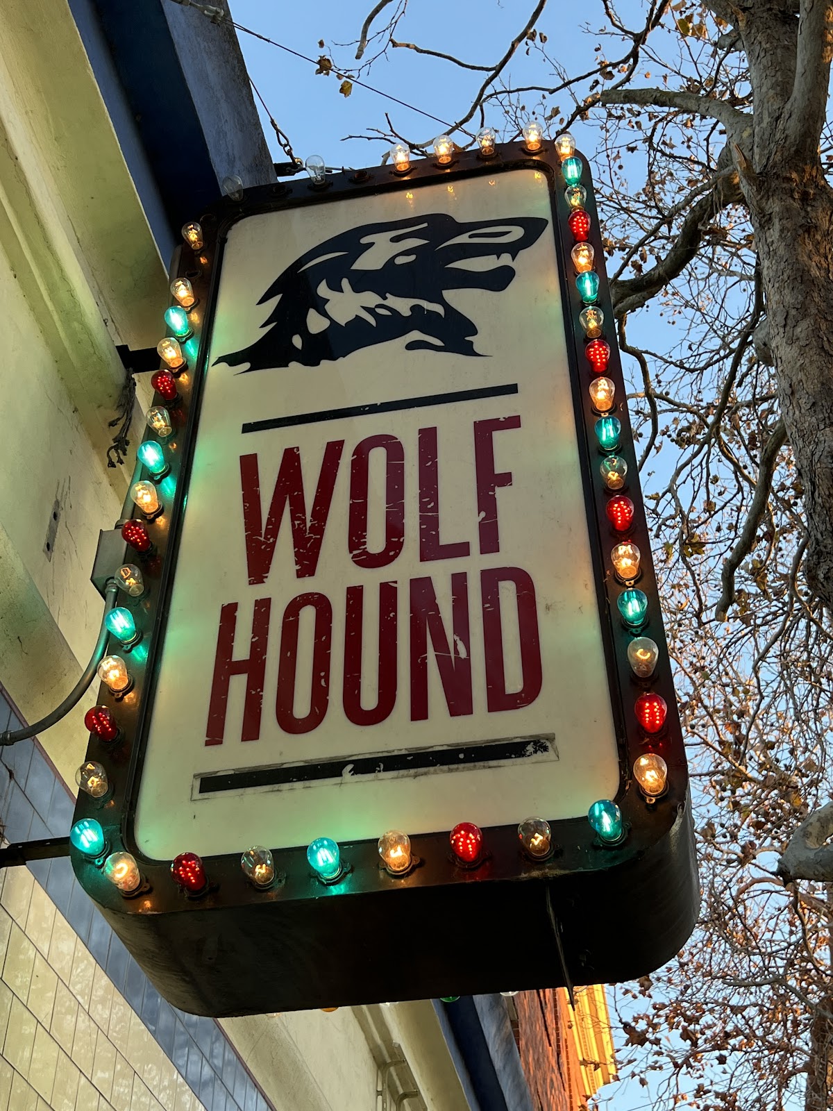 Wolfhound Bar 4
