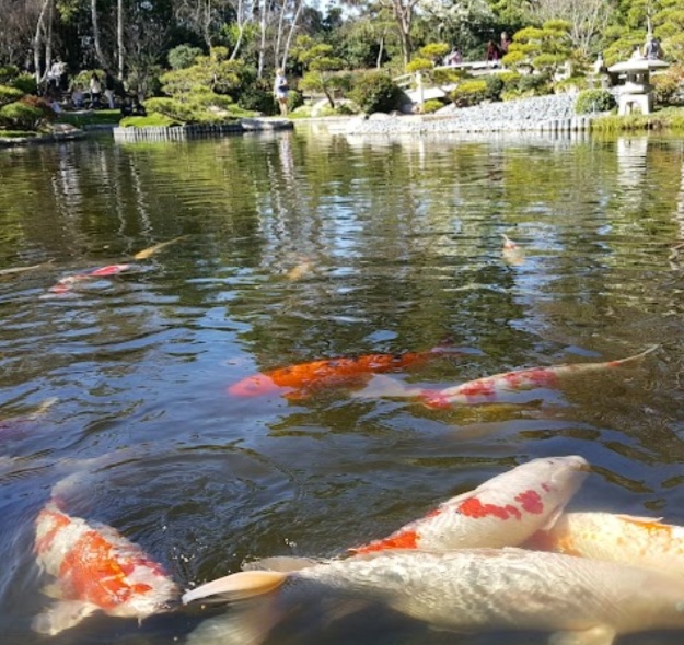 Japanese Friendship Garden 5