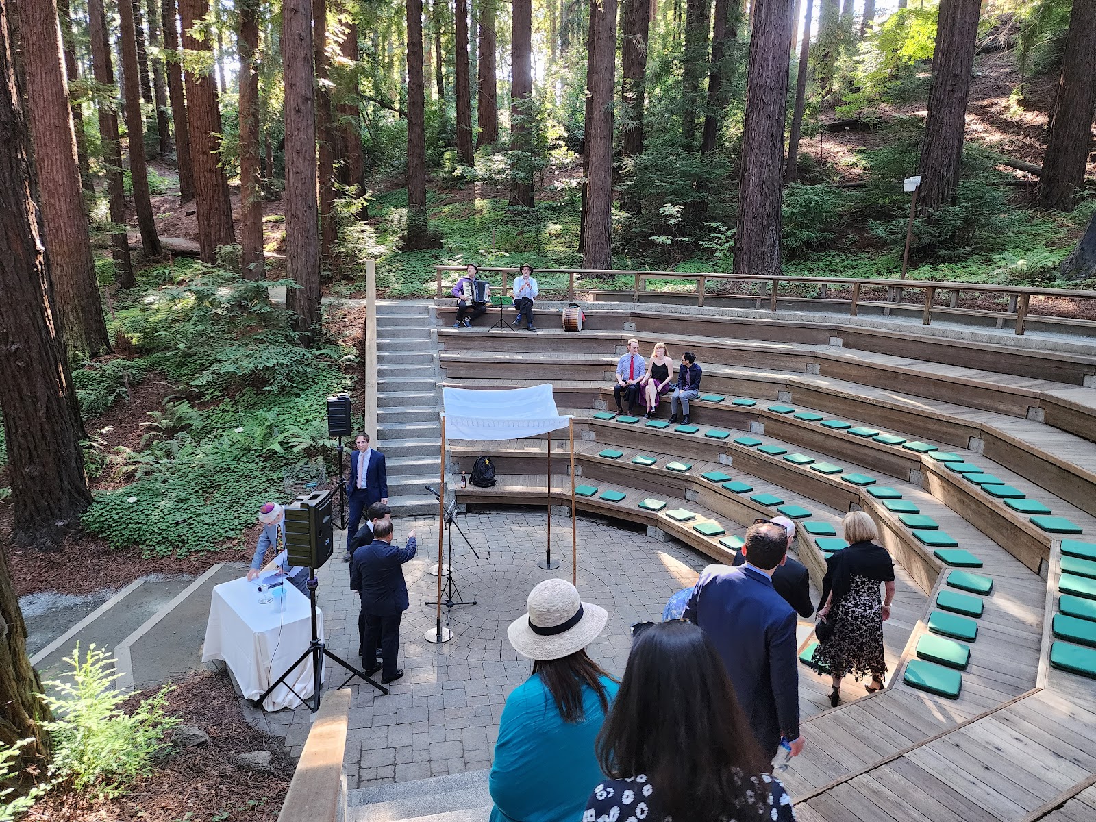 Redwood Grove Amphitheatre 5