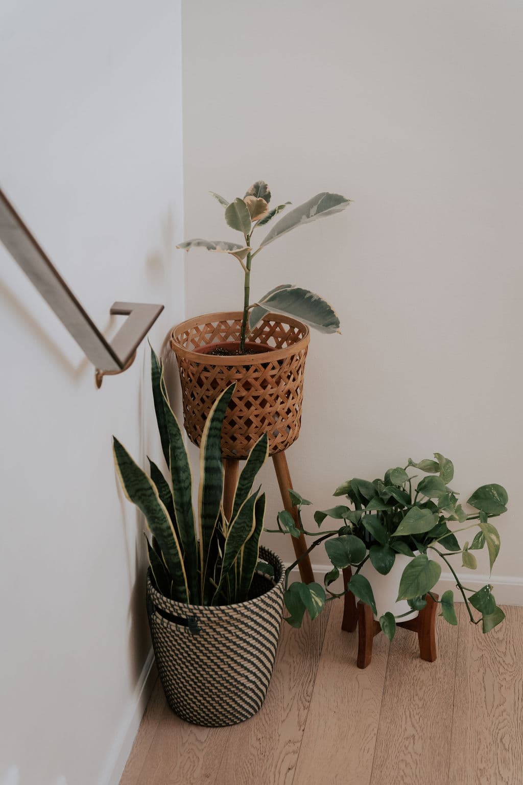 The Scent of Change: Scented Reiki Meditation with Lakenda Wallace 4