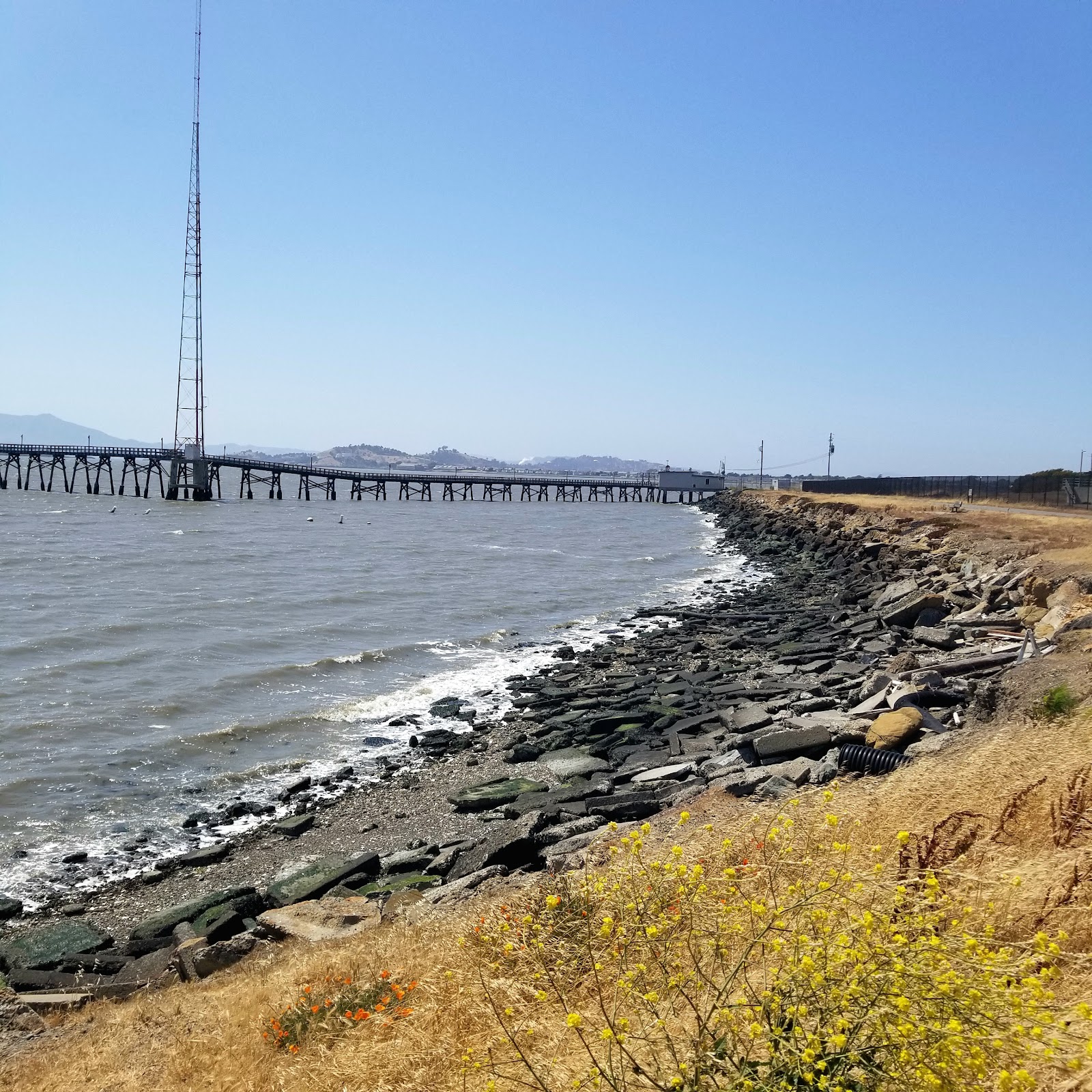 TEPCO Beach 5