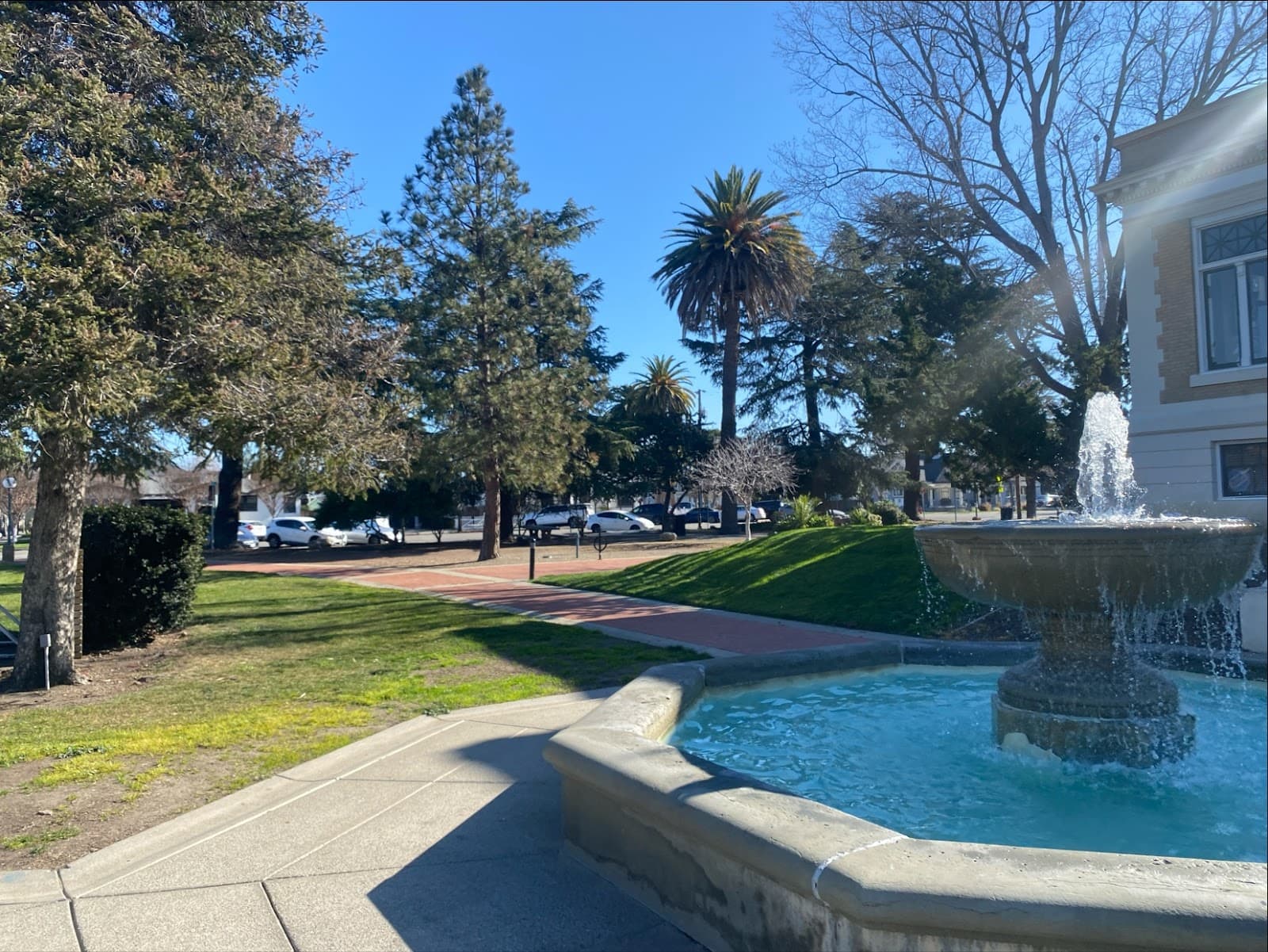 Carnegie Park Farmers' Market 4