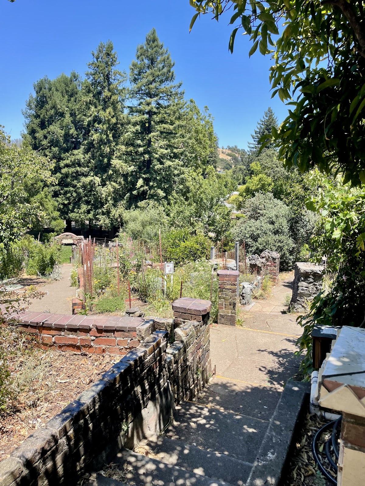 Robson Park 4