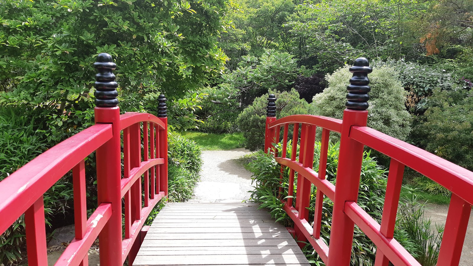 Parc de l'Amitié 4