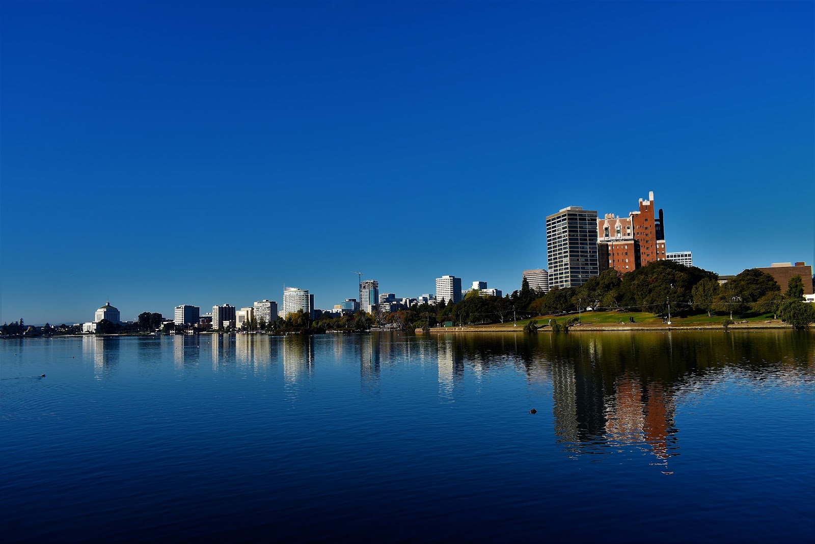 Lake Merritt Columns 4