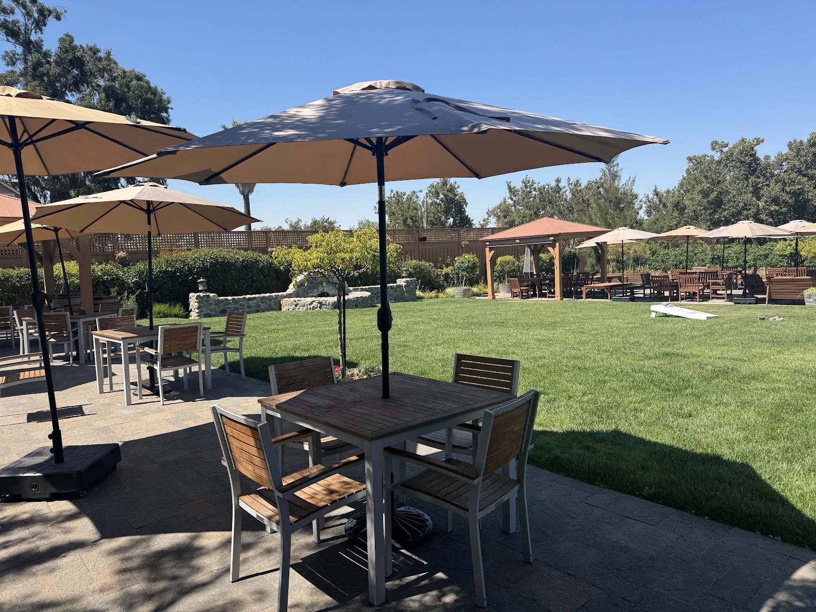Summer Nights in Livermore Valley Wine Country 5