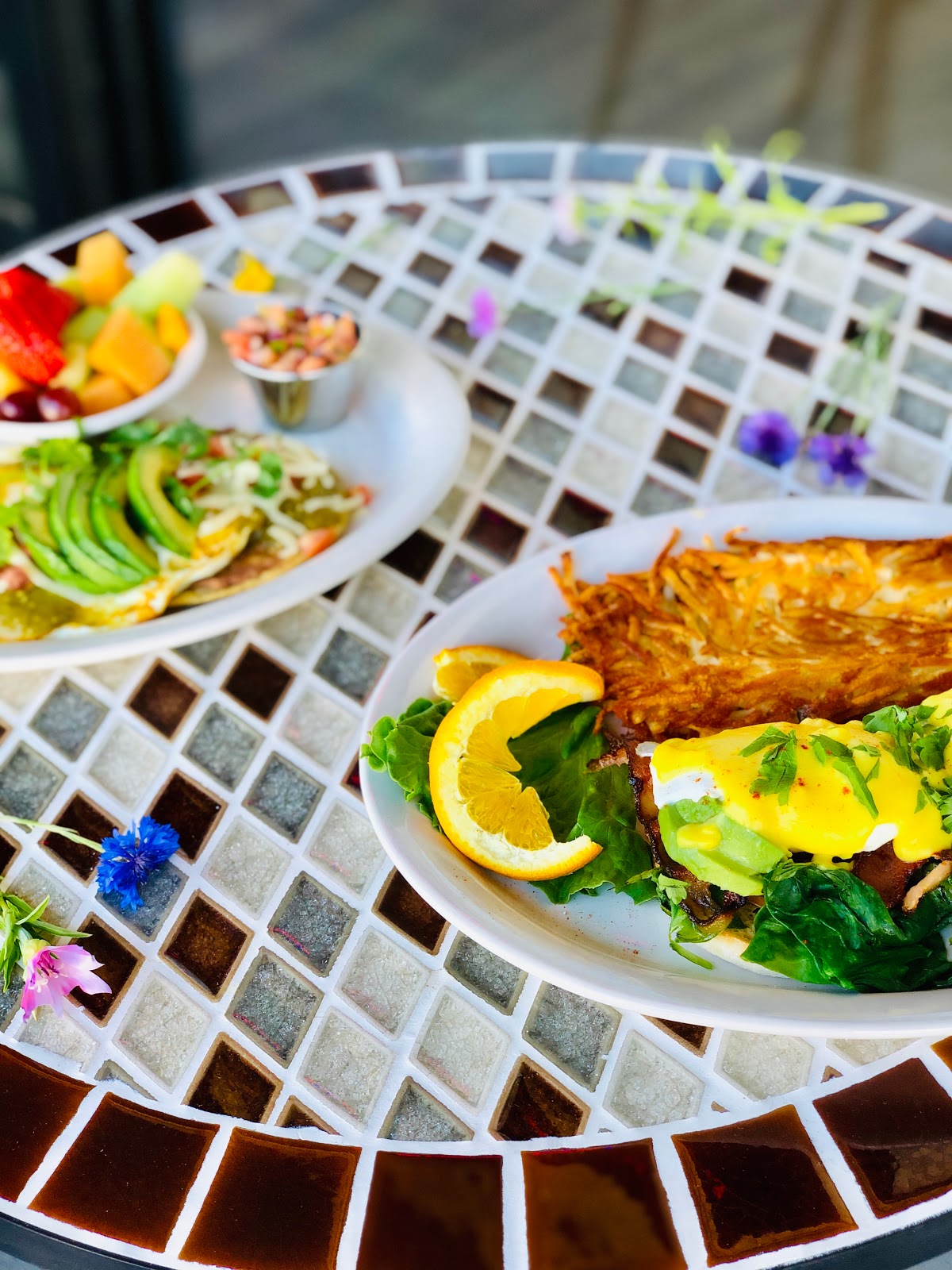 Sebastopol Sunshine Café 4