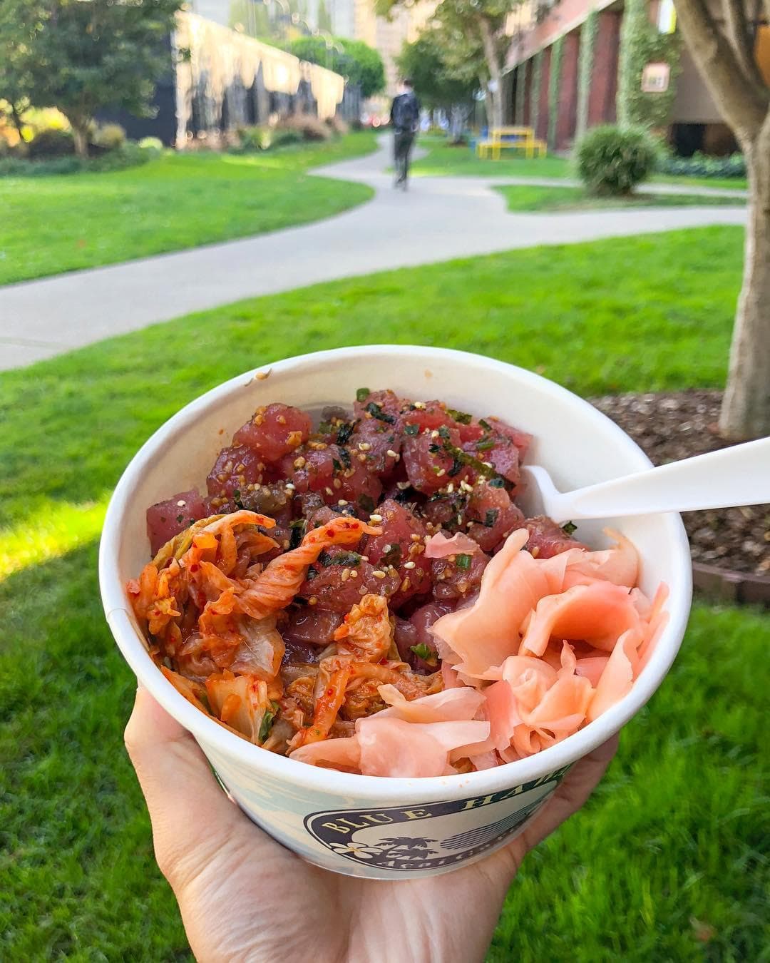 Blue Hawaii Acai Cafe 4