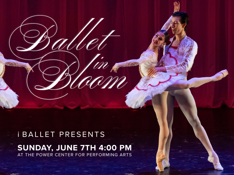 Ballet In Bloom
