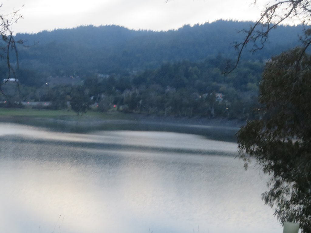 Lexington Reservoir County Park 3