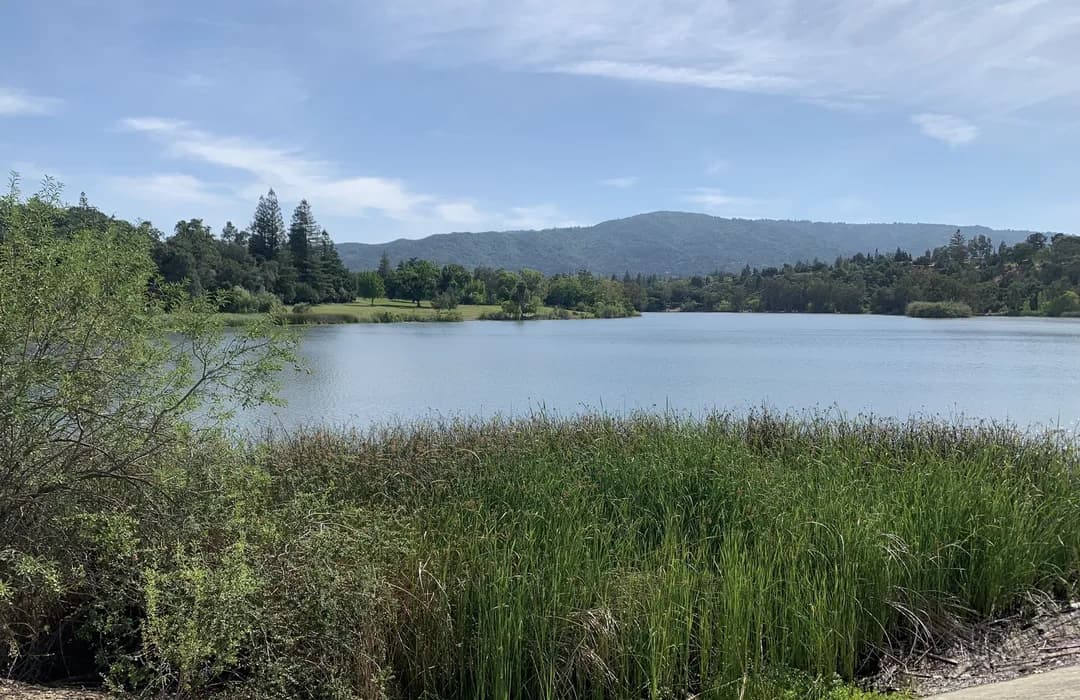 Lexington Reservoir County Park 5