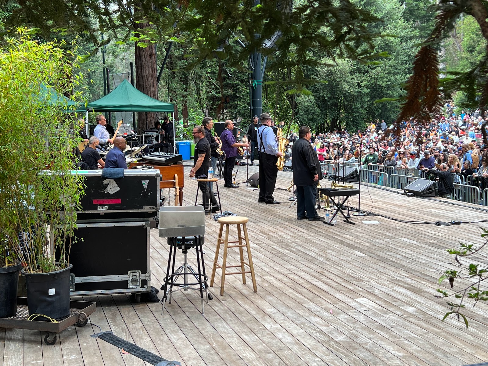 Stern Grove Festival 5