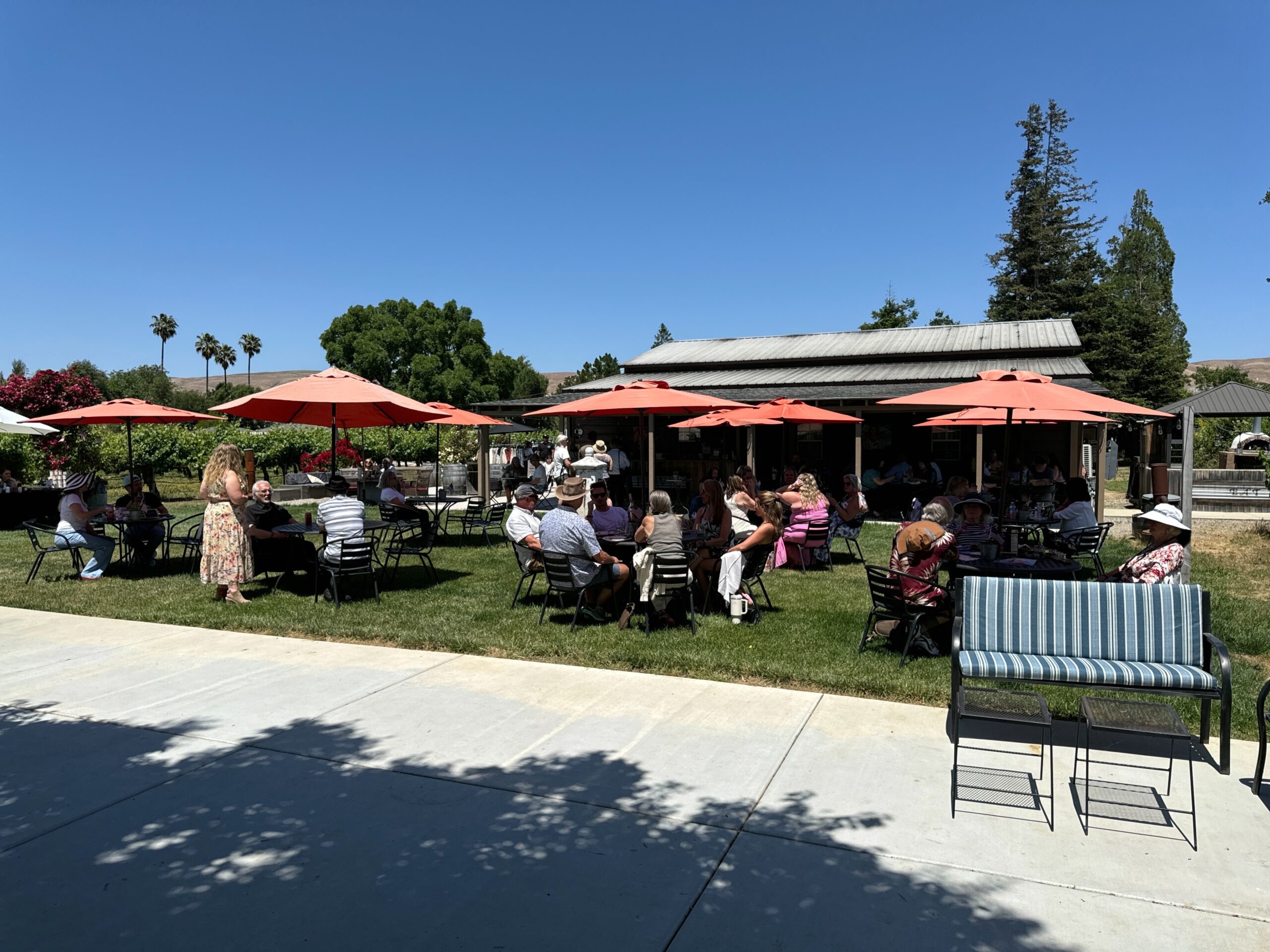 P and V Winery 2