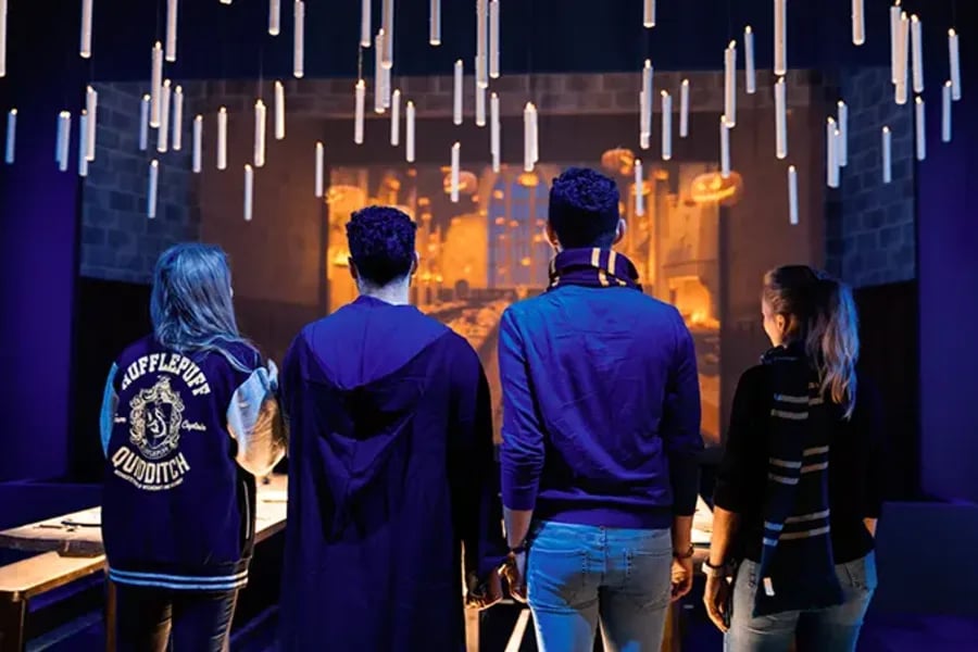 Harry Potter: The Exhibition 2