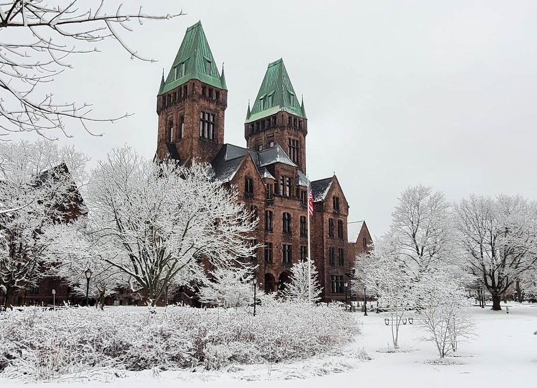 2026 Buffalo Falliday Market 2