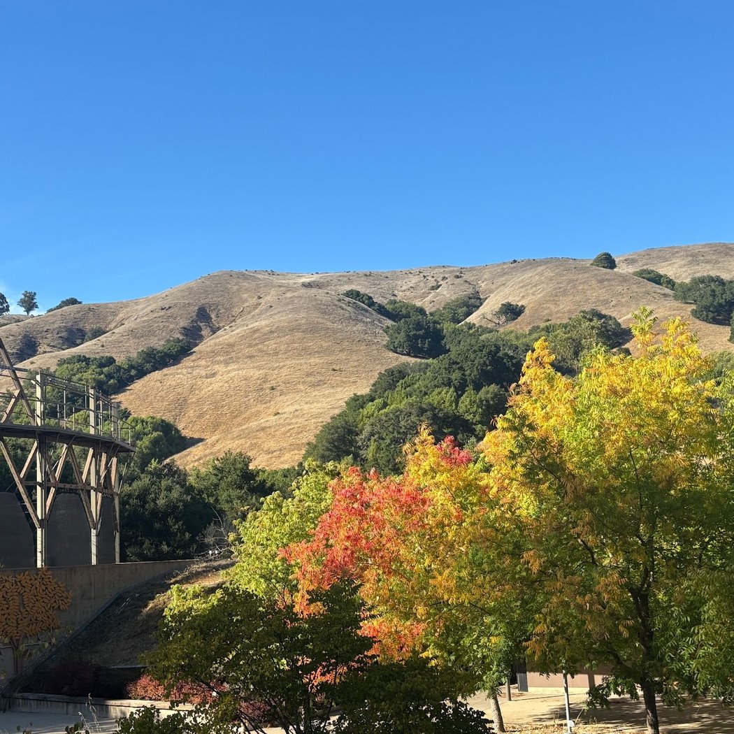 Siesta Valley Bowl 2